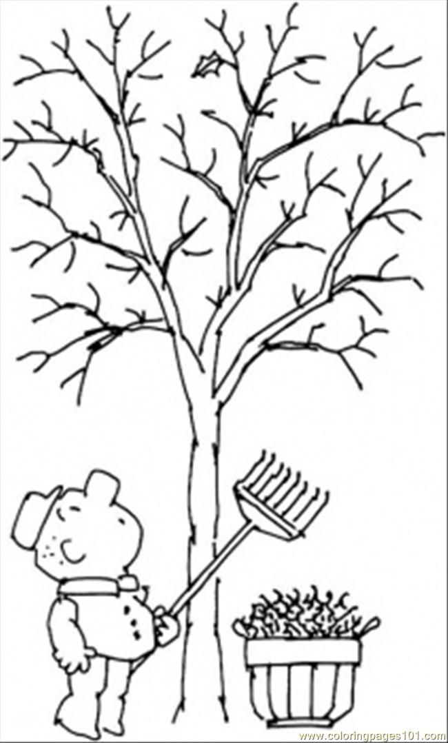 Fall Tree 12 Cool Coloring Page