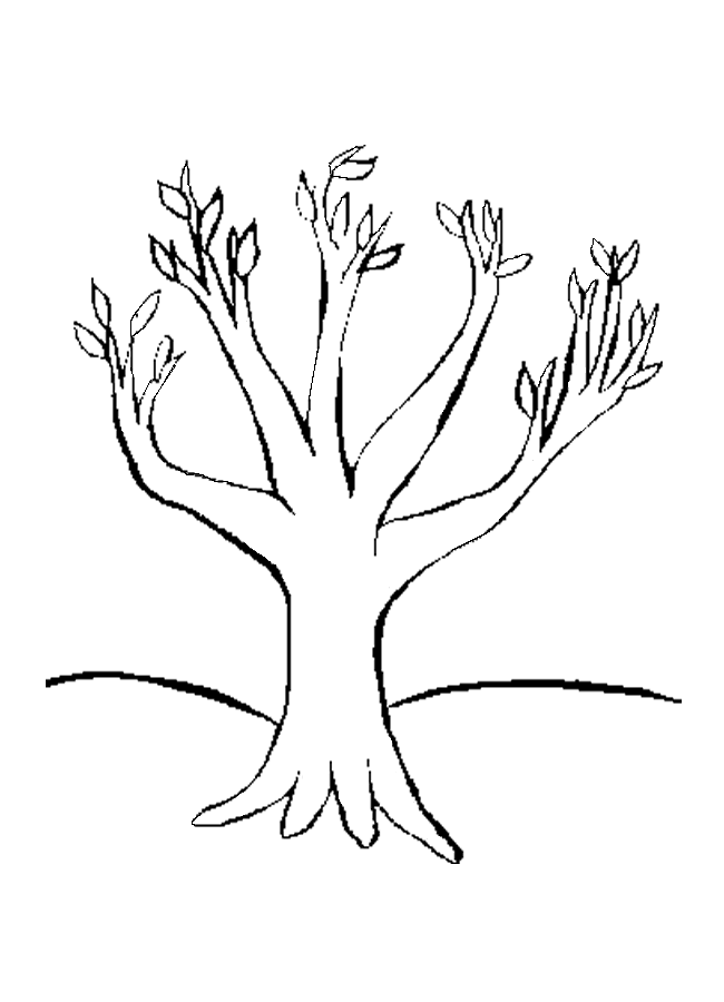 Fall Tree 20 Cool Coloring Page