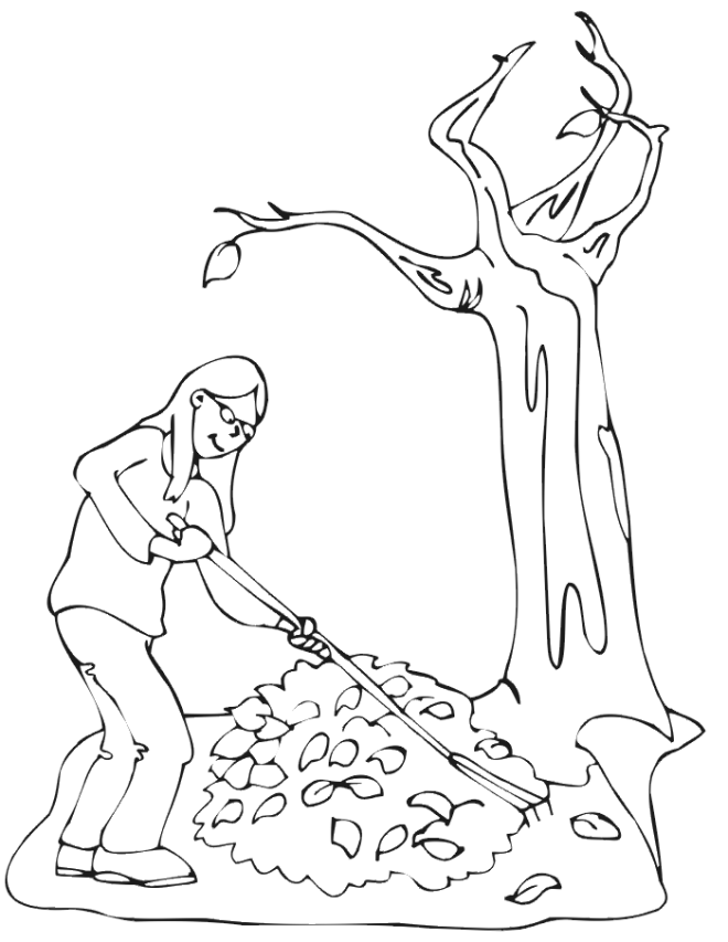 Fall Tree 28 Cool Coloring Page