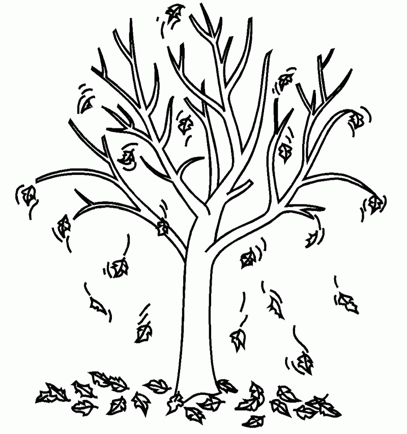 Cool Fall Tree 3 Coloring Page