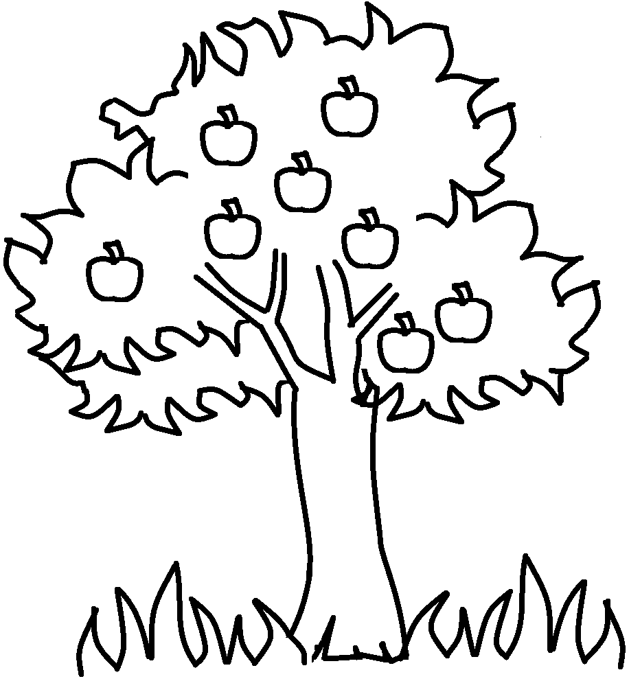 Fall Tree 33 For Kids Coloring Page