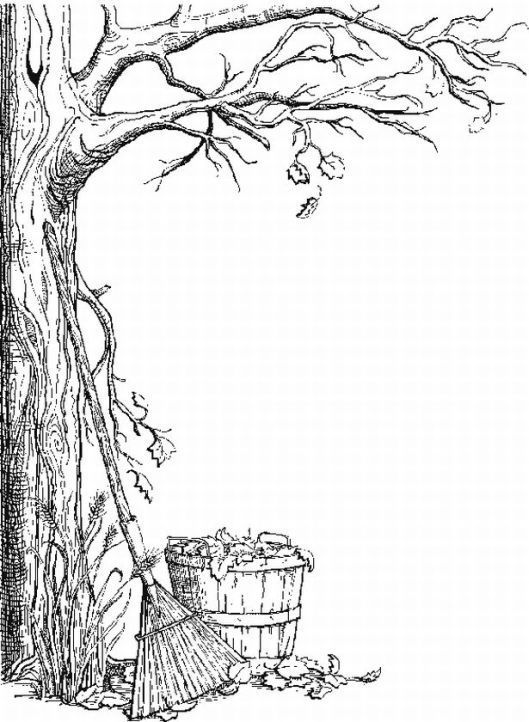 Fall Tree 5 For Kids Coloring Page