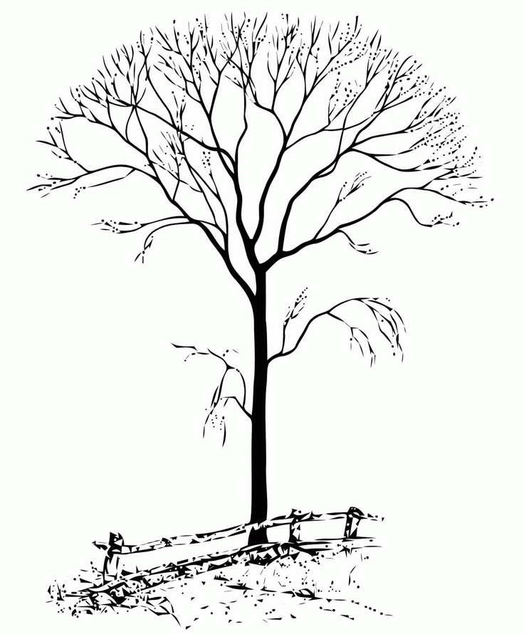 Fall Tree 6 Cool Coloring Page
