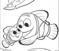 Finding Nemo 29 For Kids