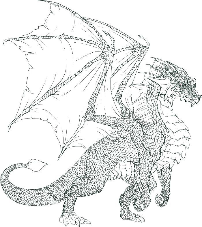 Fire Dragon 14 Cool Coloring Page