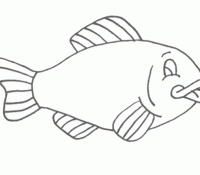 Cool Fish 39