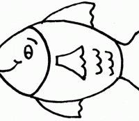Cool Fish 43