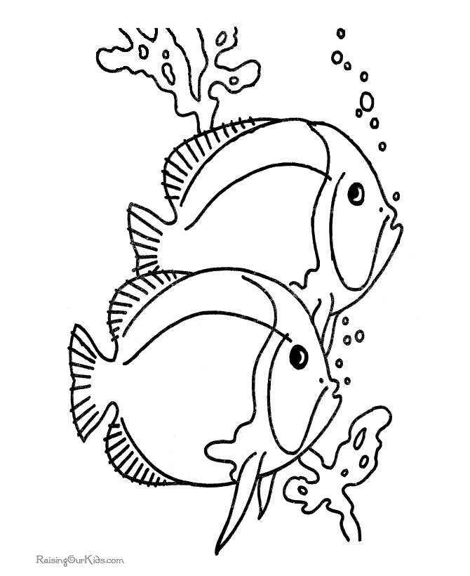 Fish 1 Cool Coloring Page