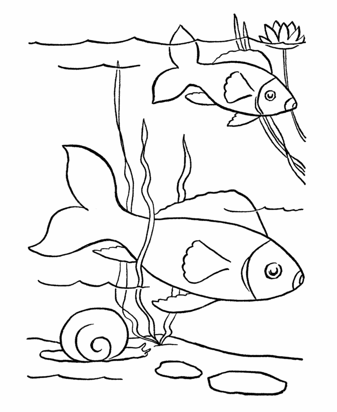 Fish 13 Cool Coloring Page