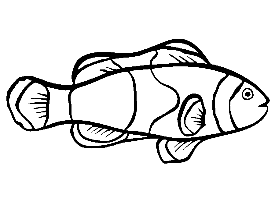 Fish 21 Cool Coloring Page