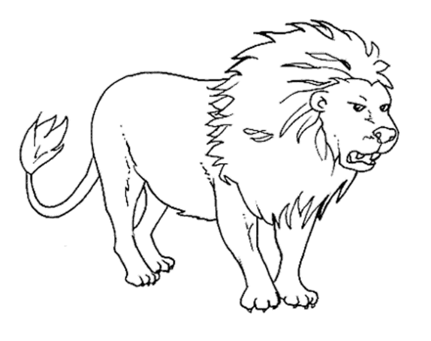 Lion For Kid Cool Coloring Page