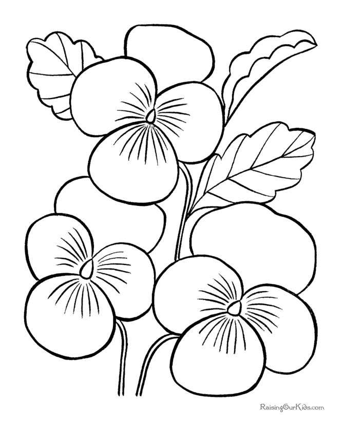 Flower For Adults 12 Cool Coloring Page