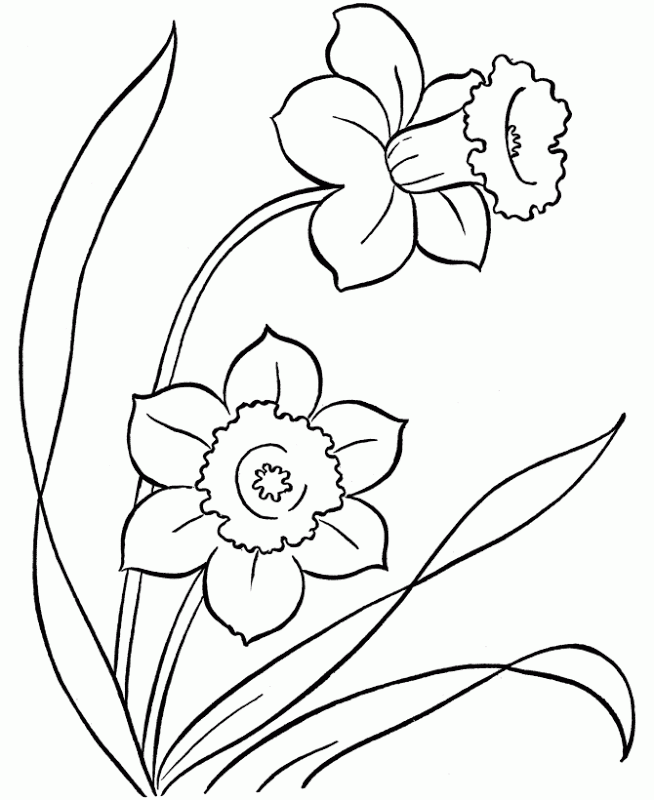 Flower For Adults 16 Cool Coloring Page