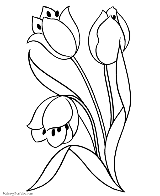 Flower For Adults 2 Cool Coloring Page