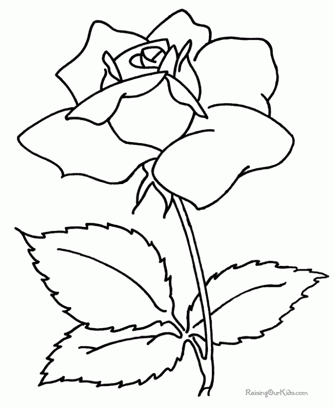 Cool Flower For Adults 23 Coloring Page