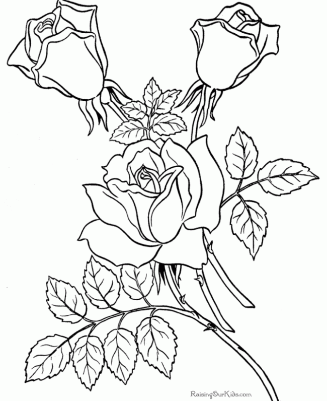 Cool Flower For Adults 27 Coloring Page