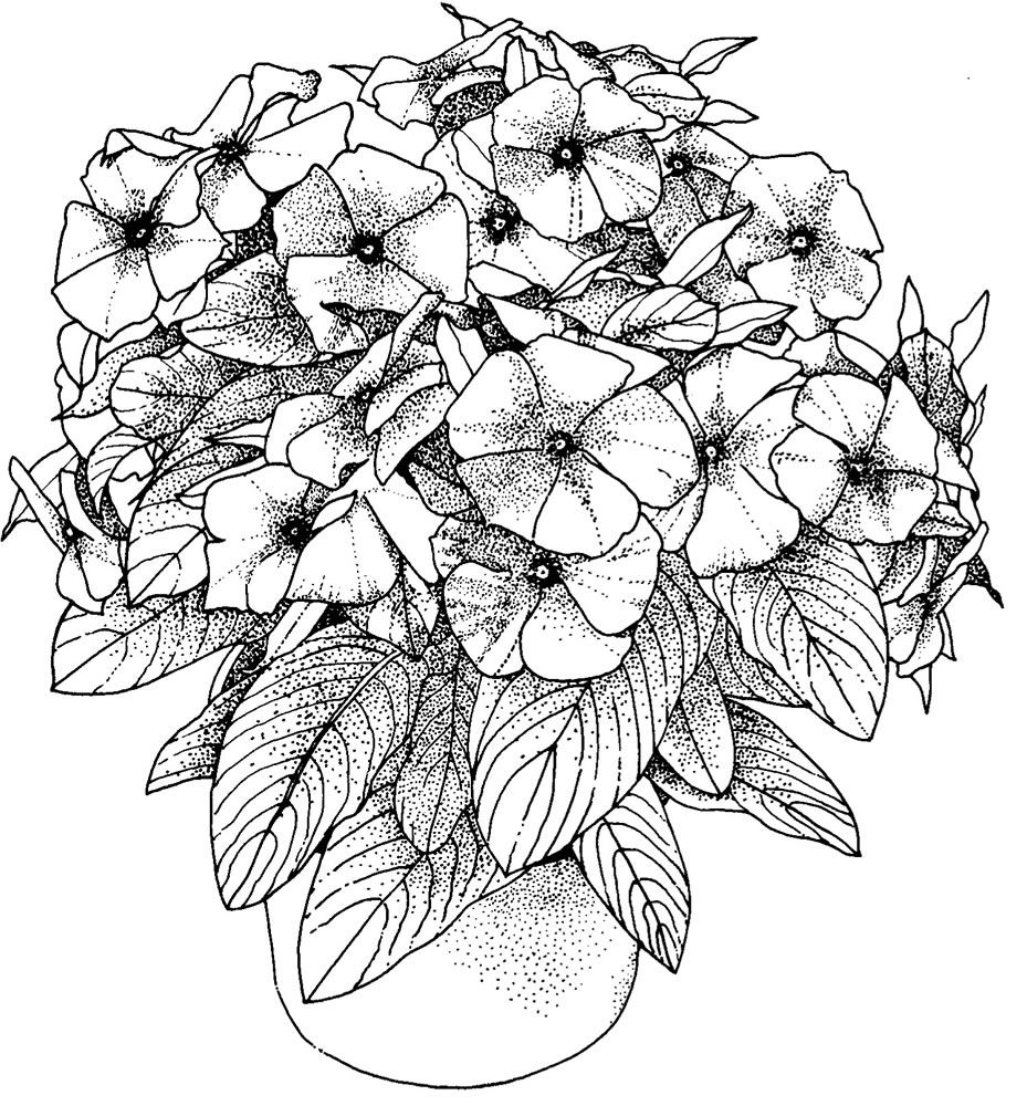 Flower For Adults 30 Cool Coloring Page