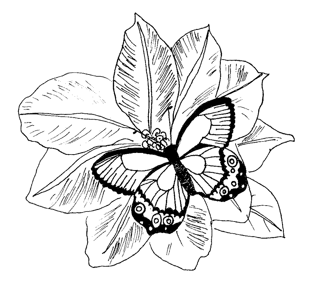 Cool Flower For Adults 31 Coloring Page