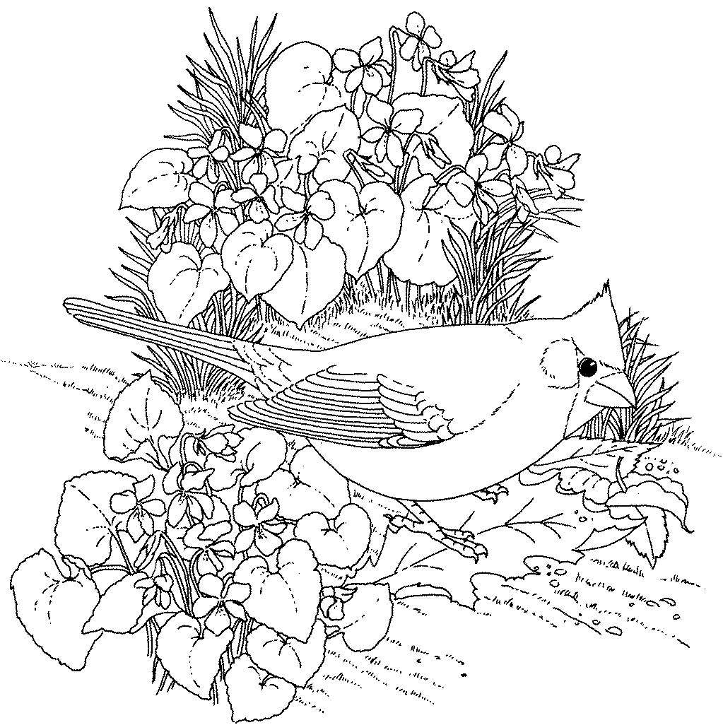 Cool Flower For Adults 35 Coloring Page