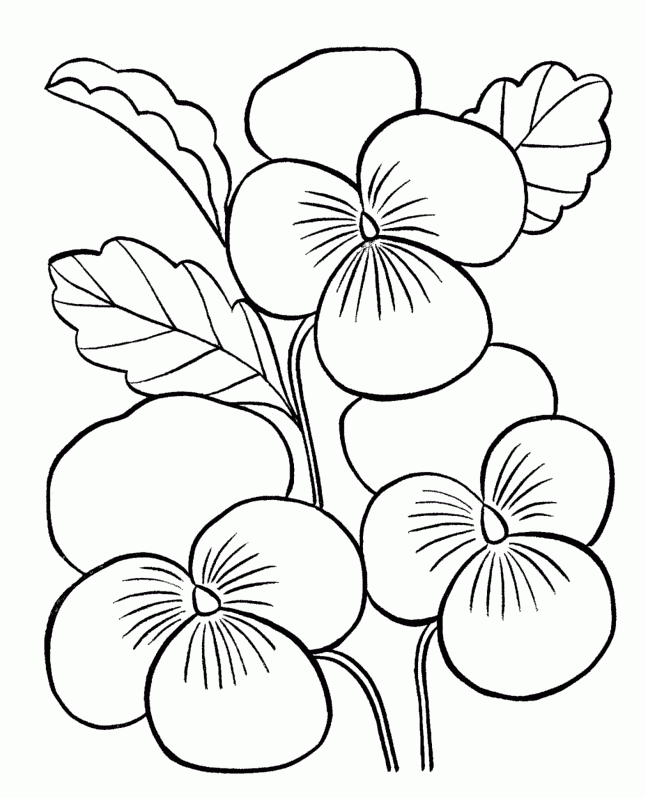 Flower For Adults 5 For Kids Coloring Page