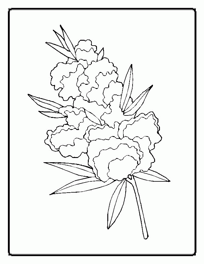 Cool Flower For Adults 7 Coloring Page