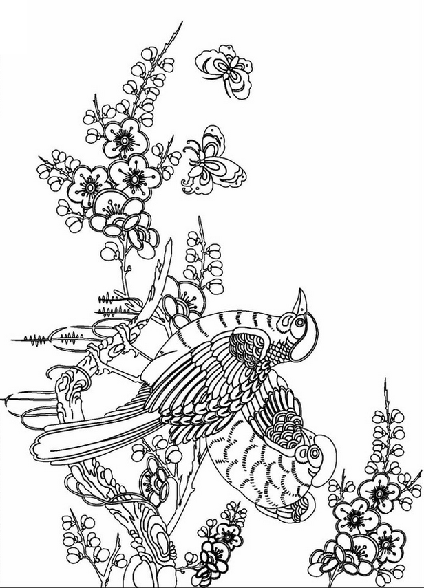 Adult 3 Cool Cool Coloring Page
