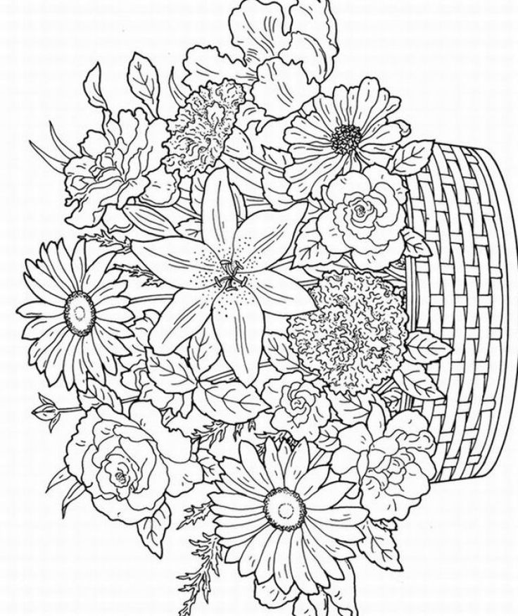 Adult 5 Cool Cool Coloring Page