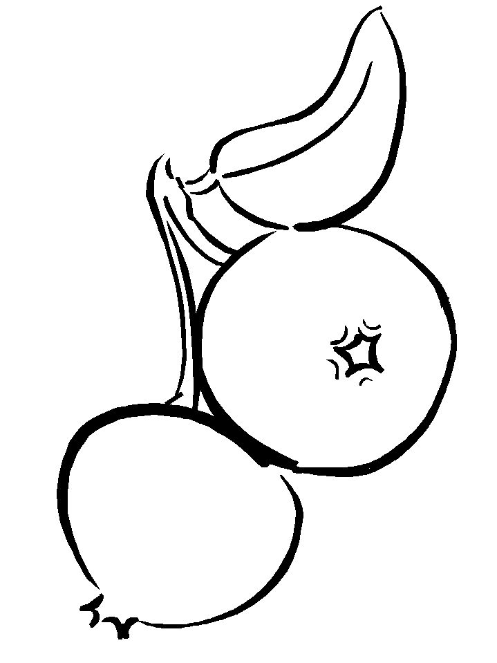 Cool Fruit 40 Coloring Page