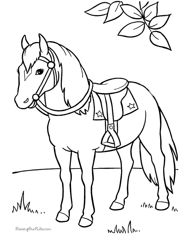Horse 12 Cool Coloring Page