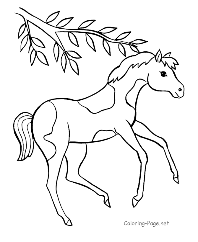 Cool Horse 13 Coloring Page
