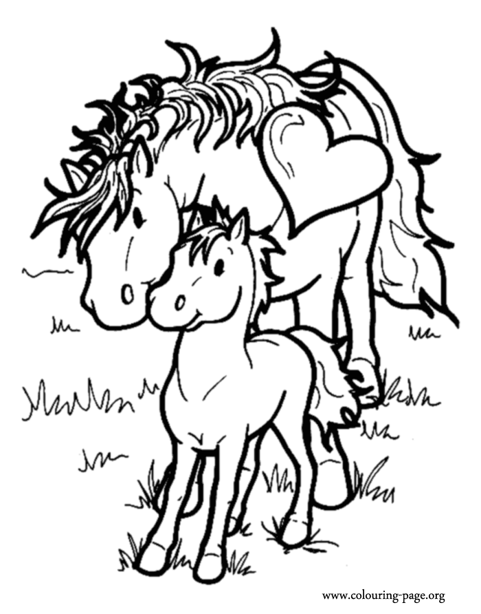 Horse 19 Cool Coloring Page