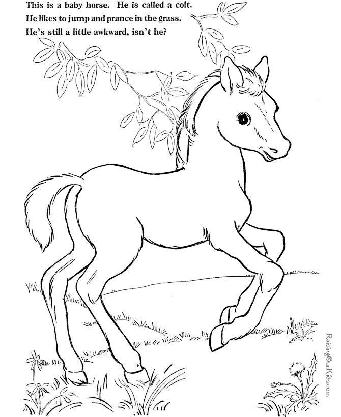 Horse 2 Cool Coloring Page