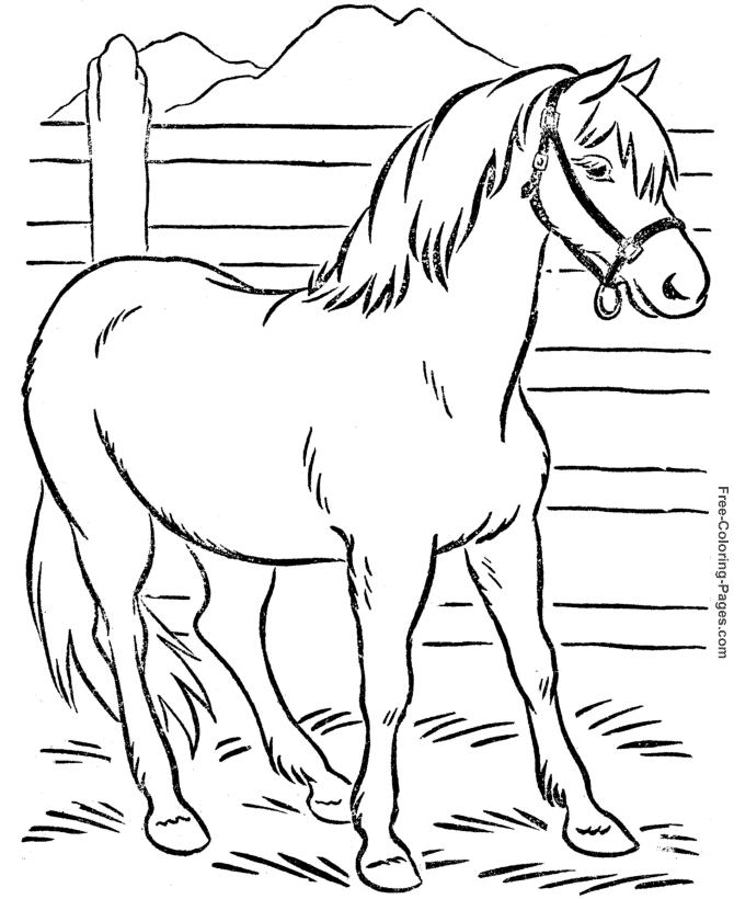 Cool Horse 20 Coloring Page