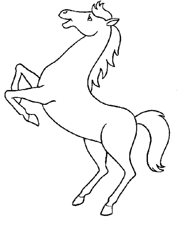 Horse 21 Cool Coloring Page