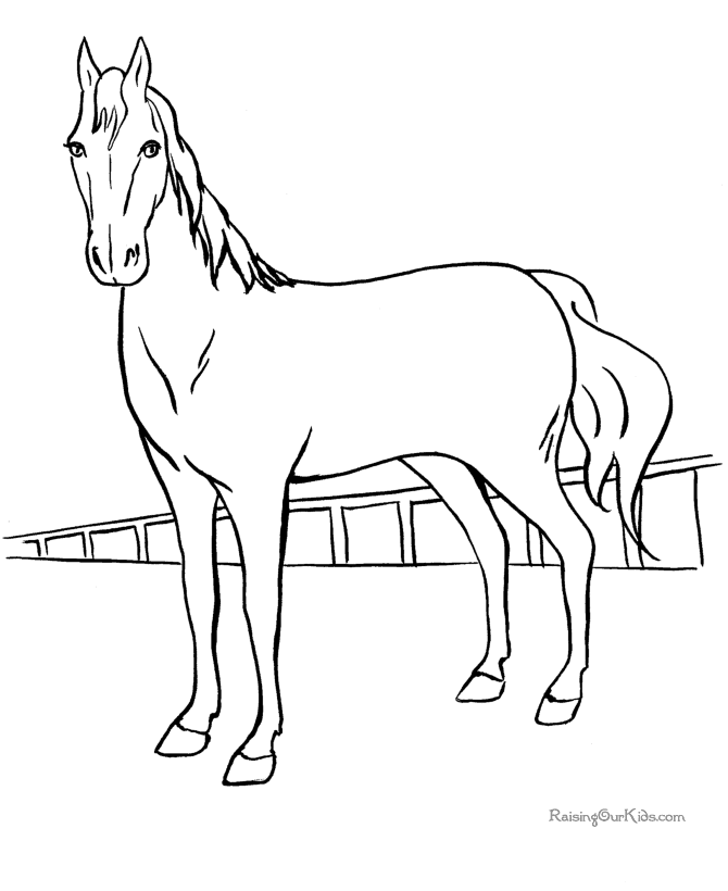 Horse 23 Cool Coloring Page
