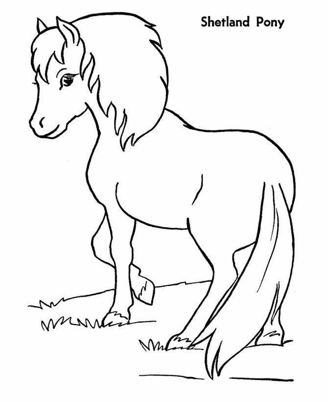 Horse 26 For Kids Coloring Page