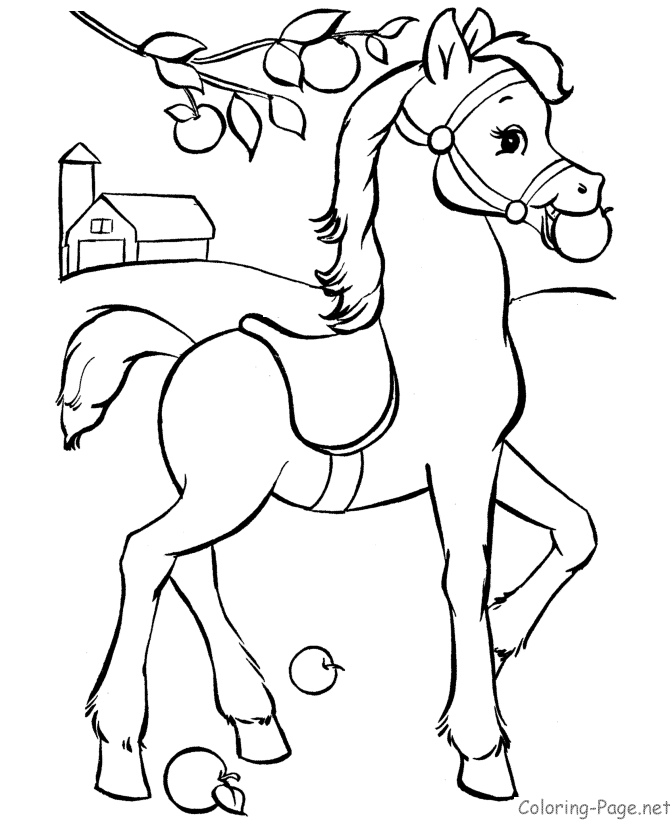 Horse 27 Cool Coloring Page