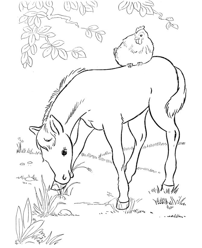 Cool Horse 28 Coloring Page
