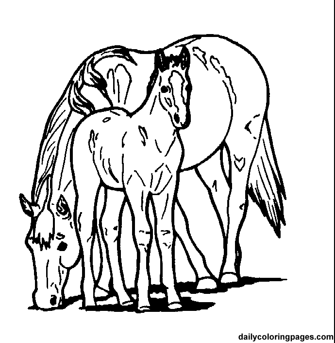 Horse 3 For Kids Coloring Page