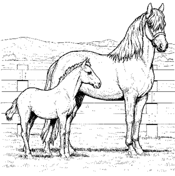 Horse 34 For Kids Coloring Page