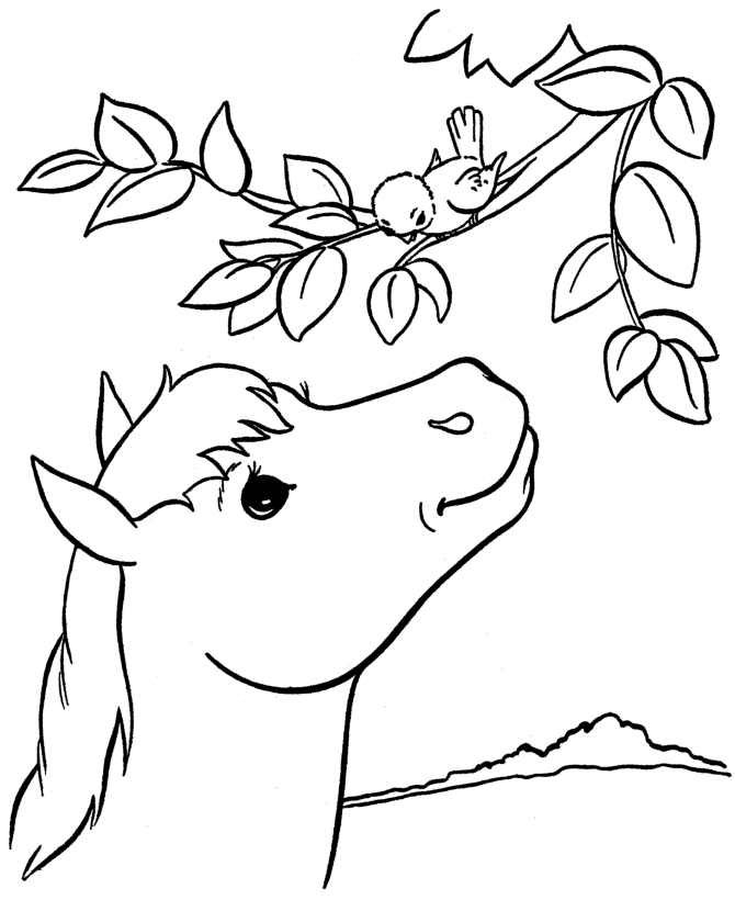 Horse 37 Cool Coloring Page