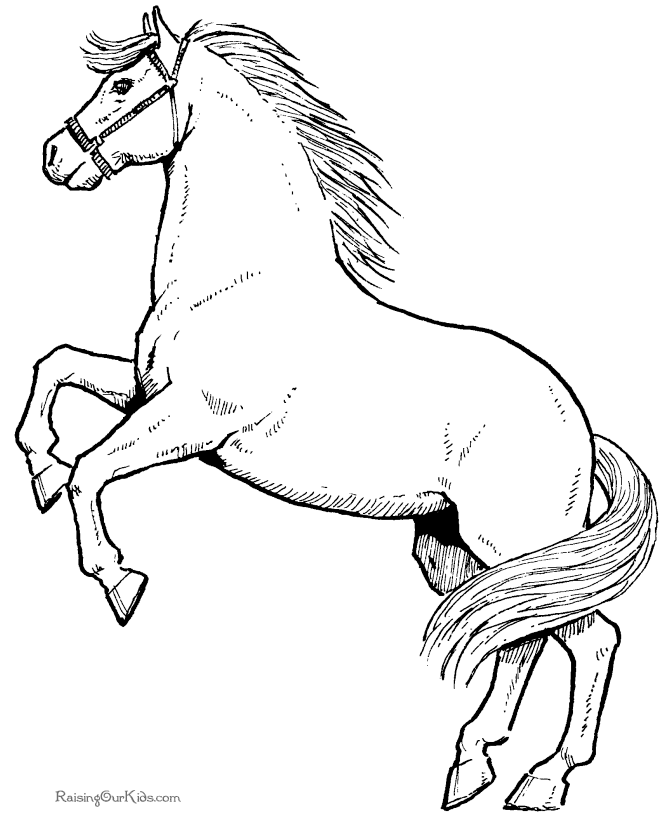 Horse 39 Cool Coloring Page
