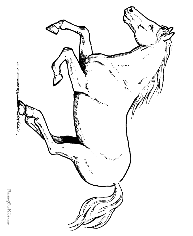 Horse 4 Cool Coloring Page