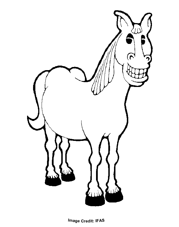 Horse 42 For Kids Coloring Page