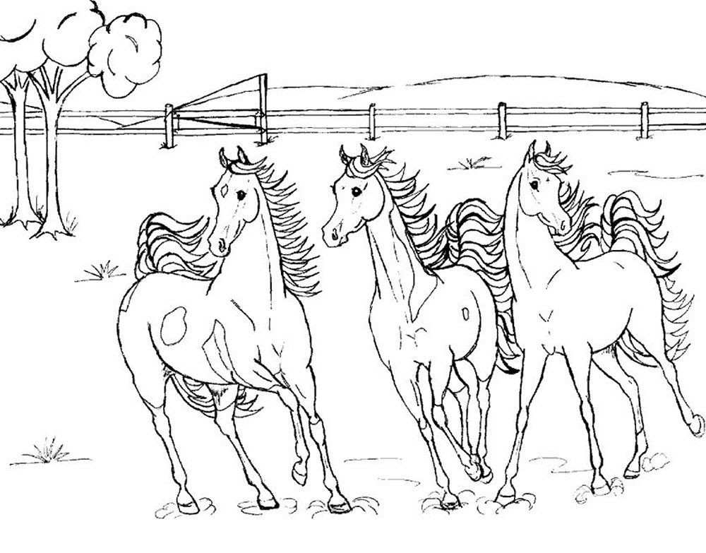 Horse 46 For Kids Coloring Page