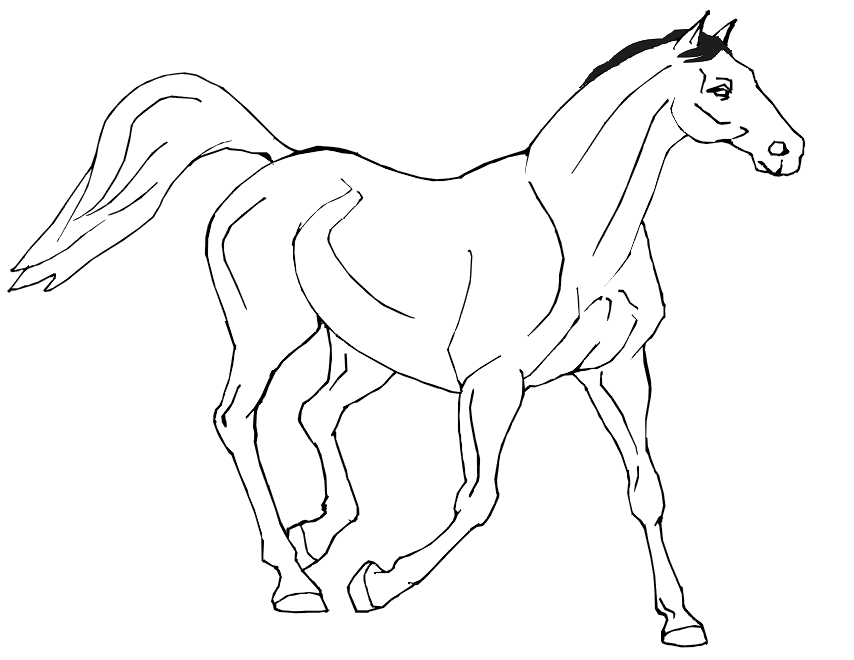 Cool Horse 48 Coloring Page