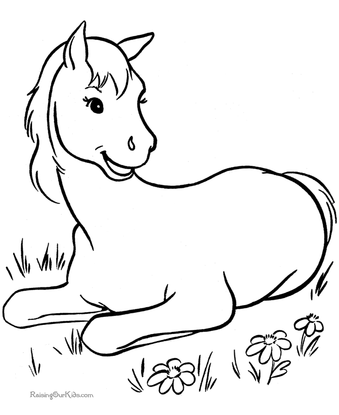 Cool Horse 5 Coloring Page
