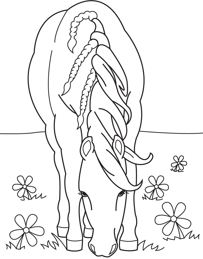 Horse 51 Cool Coloring Page