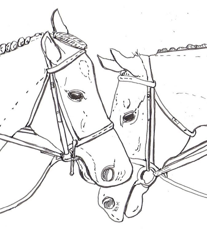 Cool Horse 52 Coloring Page