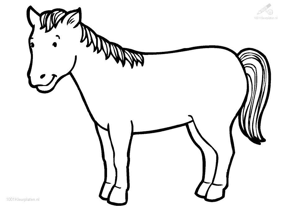 Horse 53 Cool Coloring Page